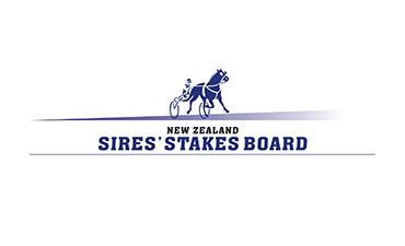 hrnz fields|Fields taking shape for IRT New Zealand Cup and Show Day .